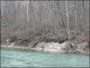 My Gallery: Image